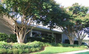 Apartments in VA