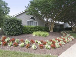 Brandywine apartments