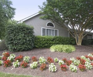 VA Apartments
