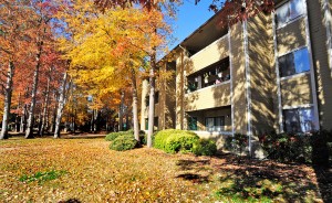 Apartments in VA