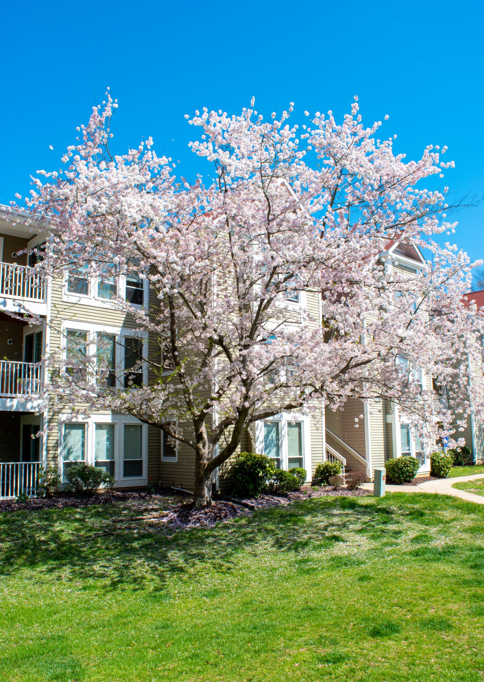 Oaks of Woodlawn Apartments