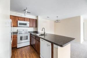 Oaks of Woodlawn apartments dish washer
