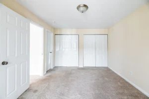 carpeted room with closets