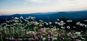 Blue Ridge