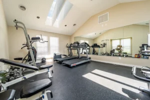 whole gym