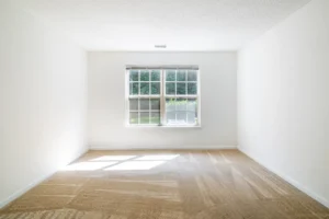 Stafford Lakes apartments den view 2