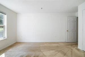 Stafford Lakes apartments den wall