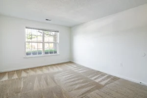 Stafford Lakes apartments 2nd bedroom view