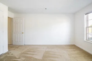 Stafford Lakes apartments blank bedroom wall