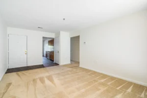 Stafford Lakes apartments living room with kitchen