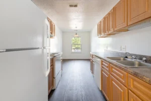 Stafford Lakes apartments whole kitchen space
