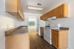 Stafford Lakes apartments kitchen appliances