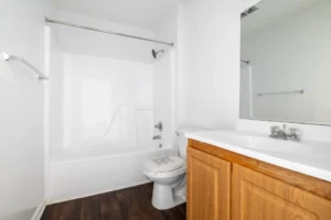 Stafford Lakes apartments new bathroom
