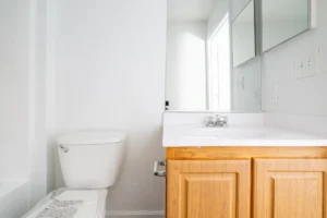 Stafford Lakes apartments bathroom