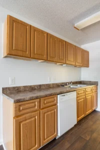 Stafford Lakes apartments dish washer