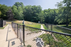 Stafford Lakes whole dog park