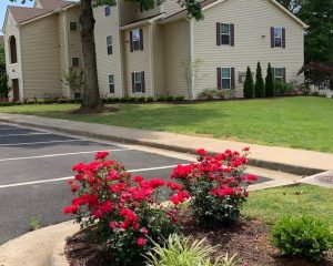 Wilton Farm Apartments 1