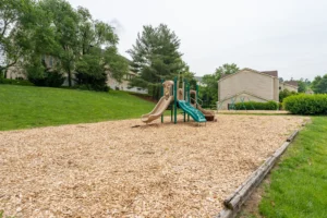 Neighborhood image